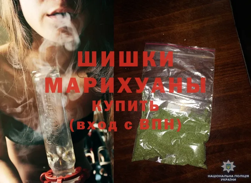 где можно купить   darknet какой сайт  Марихуана White Widow  Новомосковск 